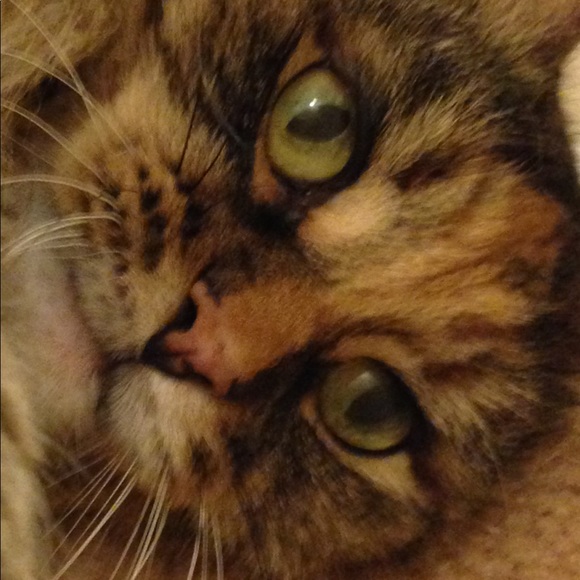 Meet your Posher, Inna - Picture 2 of 2